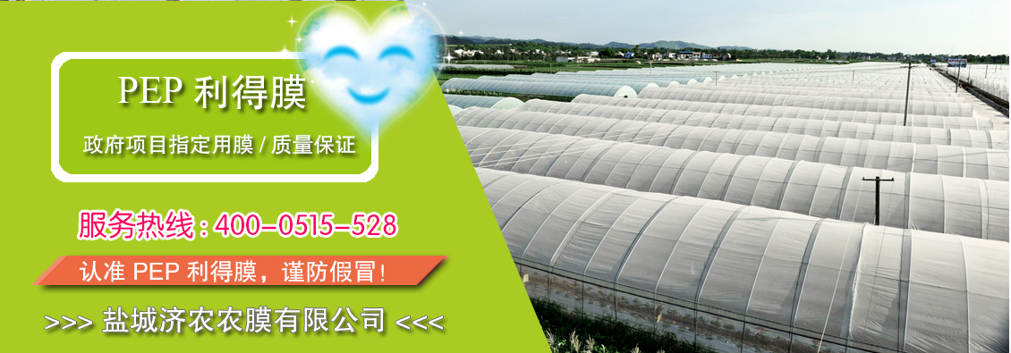 PEP利得膜
