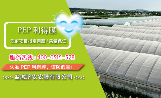 手机banner