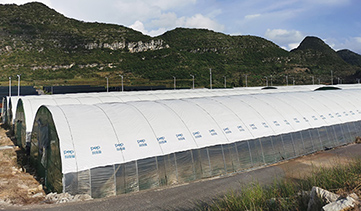 关于农膜产品价格调整的通知