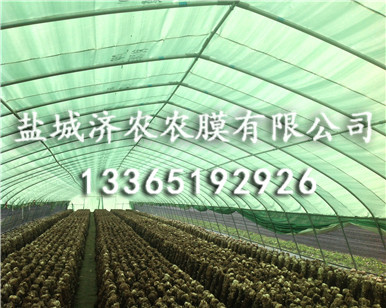 食用菌绿白膜