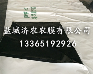 食用菌黑白膜