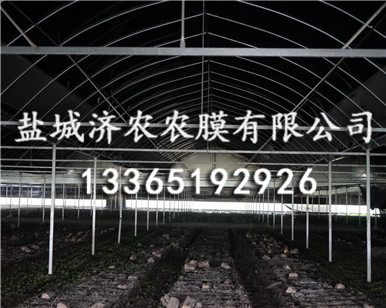 食用菌大棚黑白膜