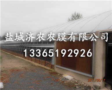 养殖黑白膜