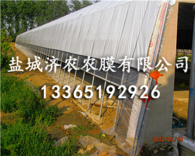畜禽养殖黑白膜