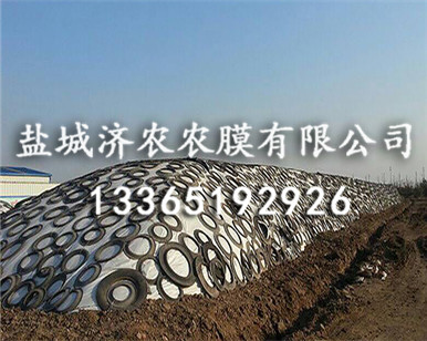 青贮黑白膜