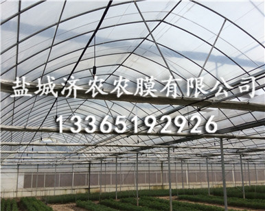 消雾膜