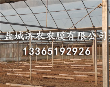 消雾膜