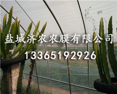 消雾膜