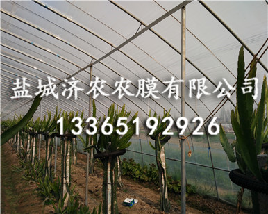 消雾膜价格