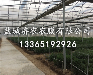 消雾膜
