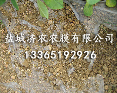 降解地膜