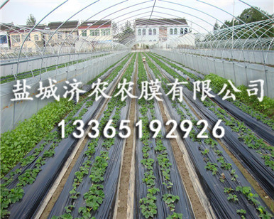 普通降解地膜