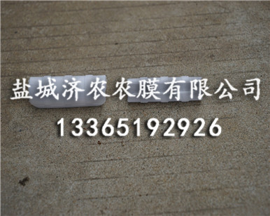 白色压膜卡