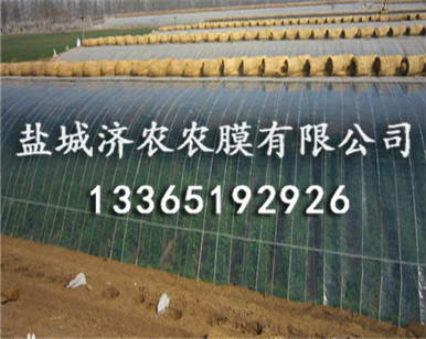 PO膜