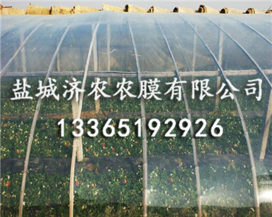 PO膜
